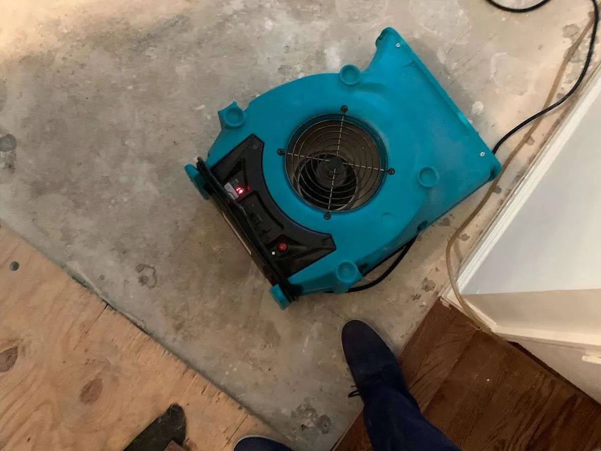 Air mover drying subfloor during Commercial Water Damage Restoration in Alamo